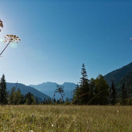 Appartamento Alpinlife Ferienhaus Bad Kohlgrub Esterno foto
