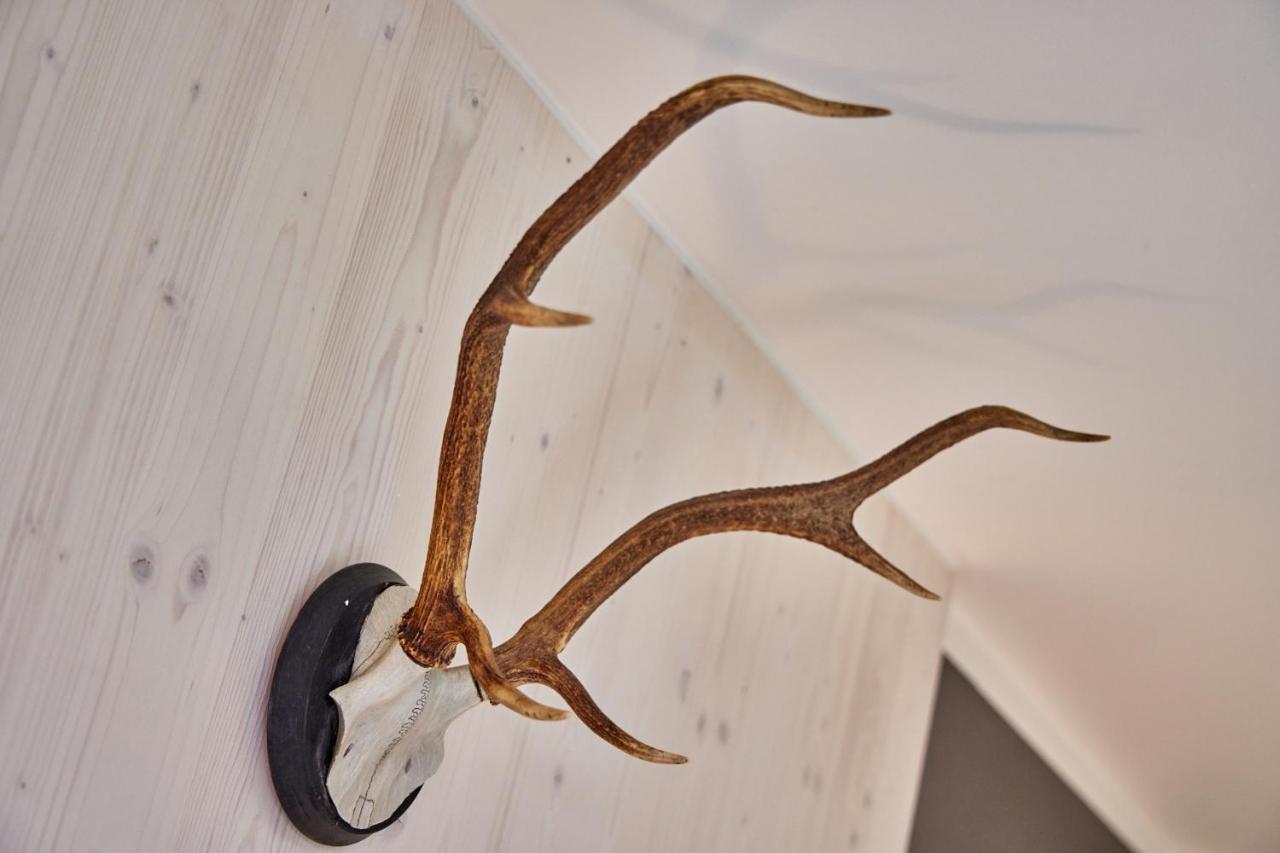 Appartamento Alpinlife Ferienhaus Bad Kohlgrub Esterno foto
